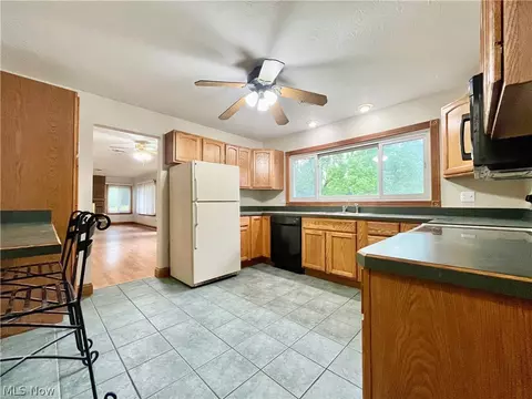 8585 Buffham Rd, Lodi, OH 44254 photo 7