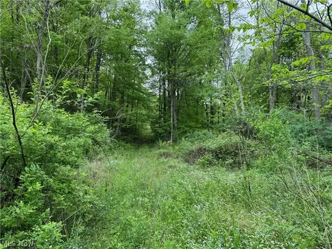 Azalea Road Sw, Leesville, OH 44639