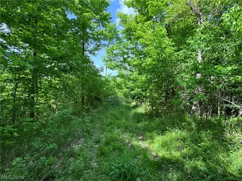 Virginia Ridge Road, Philo, OH 43771 photo 6