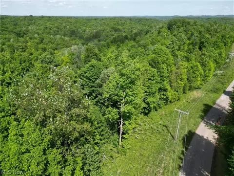 Virginia Ridge Road, Philo, OH 43771 photo 4