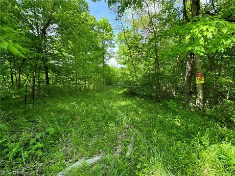 Virginia Ridge Road, Philo, OH 43771 photo 10