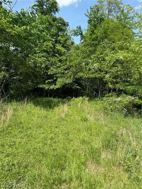 Virginia Ridge Road, Philo, OH 43771 photo 12