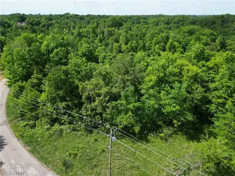 Virginia Ridge Road, Philo, OH 43771