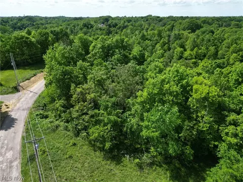 Virginia Ridge Road, Philo, OH 43771 photo 5