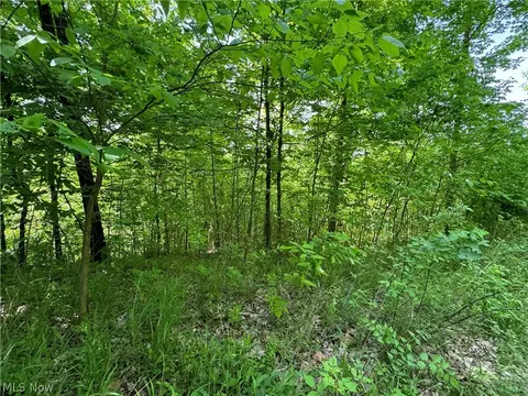Virginia Ridge Road, Philo, OH 43771 photo 7