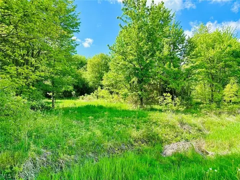 Vl Belden Road, Andover, OH 44003