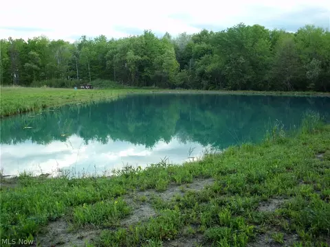 3961 Mann Rd, Andover, OH 44003 photo 7