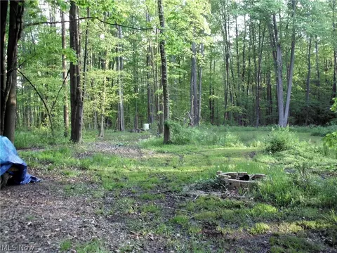 3961 Mann Rd, Andover, OH 44003 photo 11