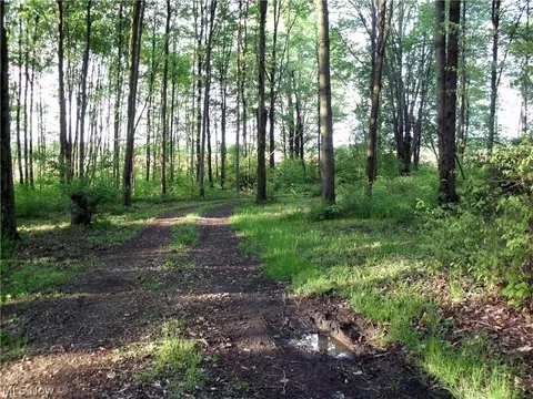3961 Mann Rd, Andover, OH 44003 photo 12