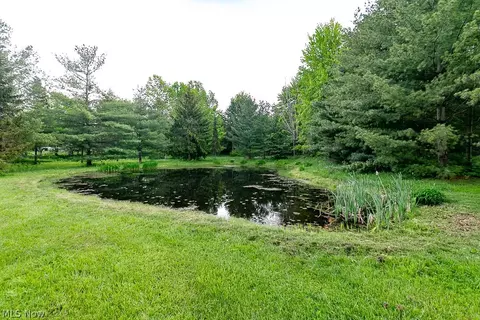 Other - 5256 S River Rd E, Geneva, OH 44041 photo 1 of 4