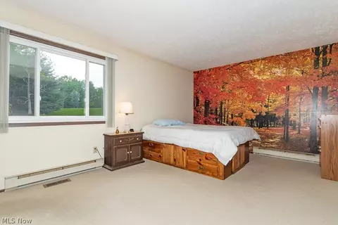 Bedroom - 5256 S River Rd E, Geneva, OH 44041 photo 1 of 3