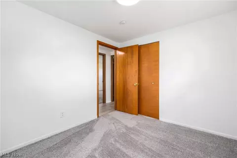 15536 State Route 301, Lagrange, OH 44050 photo 16