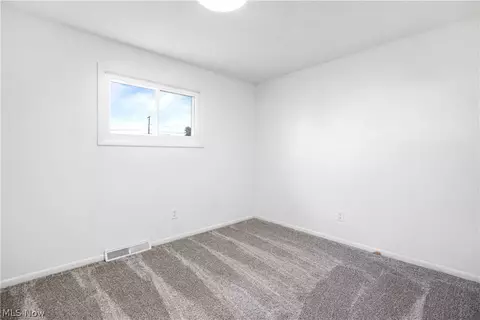 15536 State Route 301, Lagrange, OH 44050 photo 14