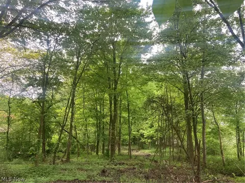 Columbiana Canfield Road, Green, OH 44509