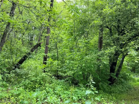 lot141142143 Maple St, Columbiana, OH 44408