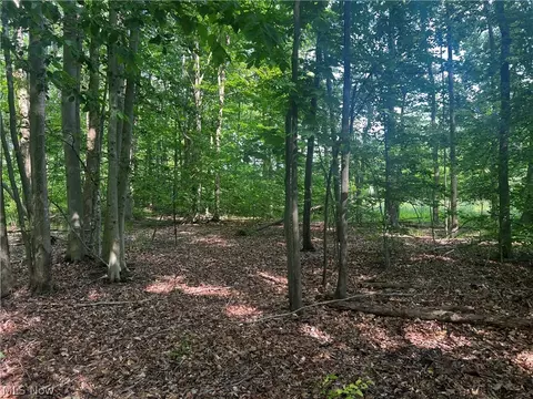 Yale Road, Atwater, OH 44201