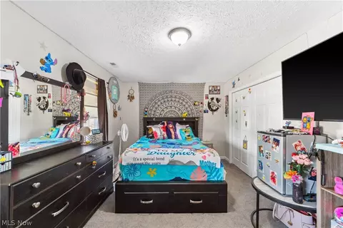 4679 Fields Way, Lorain, OH 44053 photo 26