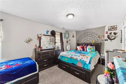 4679 Fields Way, Lorain, OH 44053 photo 25