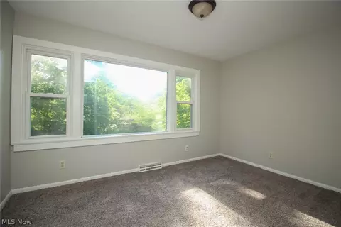 4113 Burgett Rd, Canfield, OH 44406 photo 18
