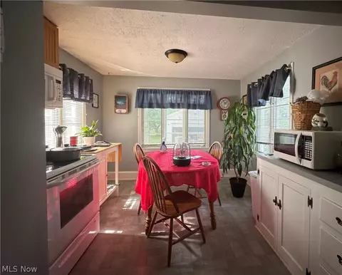 135 Hamilton St, Elyria, OH 44035 photo 5