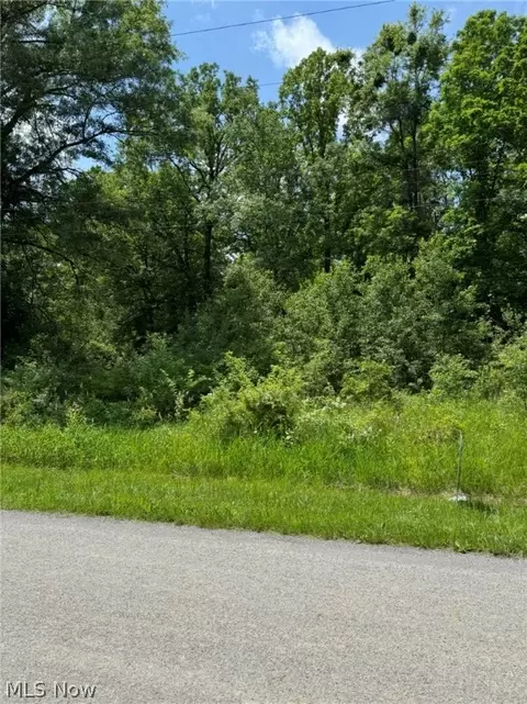 0 Fortney Rd, Orwell, OH 44076