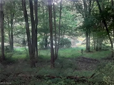 Other - 2003 Reese Rd, Fleming, OH 45729 photo 6 of 9
