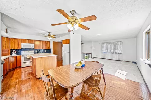 3010 Narrows Rd, Perry, OH 44081 photo 8