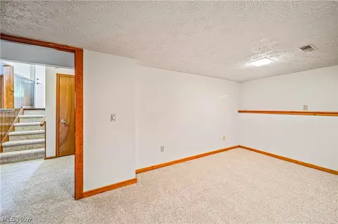 3010 Narrows Rd, Perry, OH 44081 photo 28