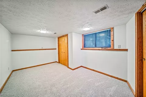 3010 Narrows Rd, Perry, OH 44081 photo 27