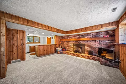 3010 Narrows Rd, Perry, OH 44081 photo 20