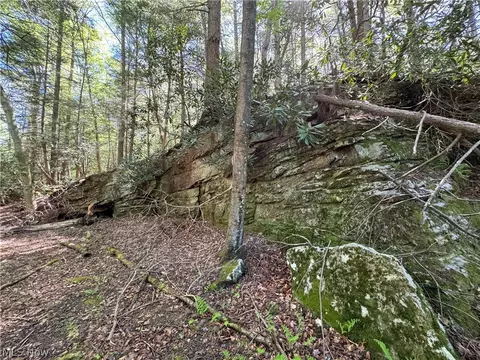 1185 Bens Run Rd, Sutton, WV 26601 photo 18