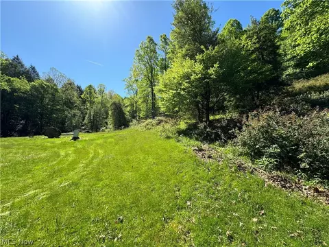 1185 Bens Run Rd, Sutton, WV 26601 photo 14