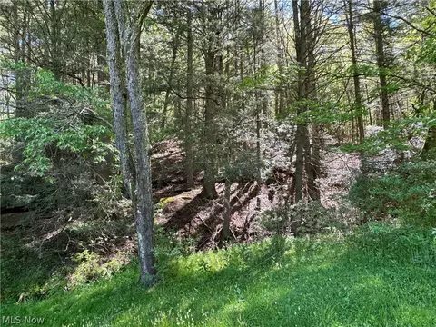1185 Bens Run Rd, Sutton, WV 26601 photo 21