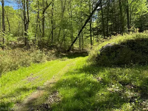1185 Bens Run Rd, Sutton, WV 26601 photo 24