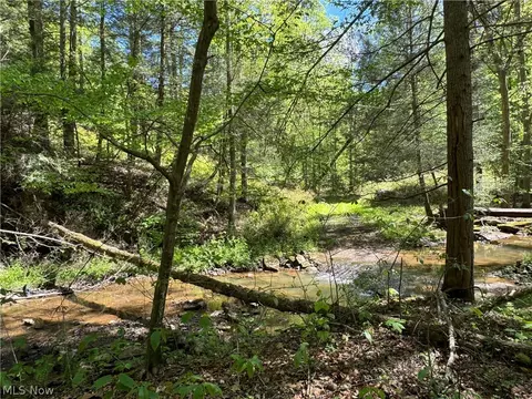 1185 Bens Run Rd, Sutton, WV 26601 photo 11