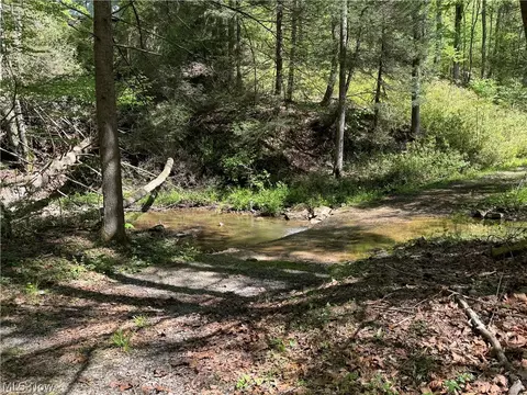 1185 Bens Run Rd, Sutton, WV 26601 photo 5