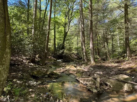 1185 Bens Run Rd, Sutton, WV 26601 photo 23