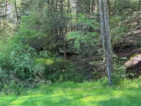 1185 Bens Run Rd, Sutton, WV 26601 photo 15
