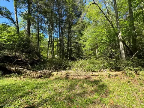 1185 Bens Run Rd, Sutton, WV 26601 photo 22