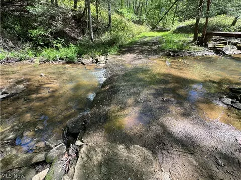 1185 Bens Run Rd, Sutton, WV 26601 photo 3
