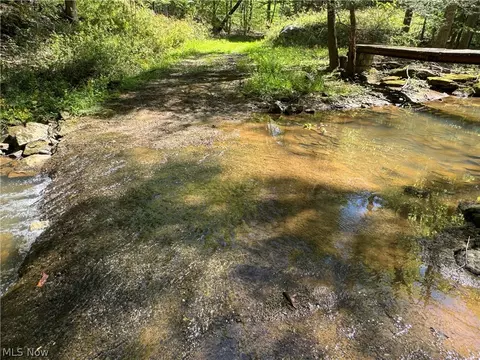 1185 Bens Run Rd, Sutton, WV 26601 photo 6