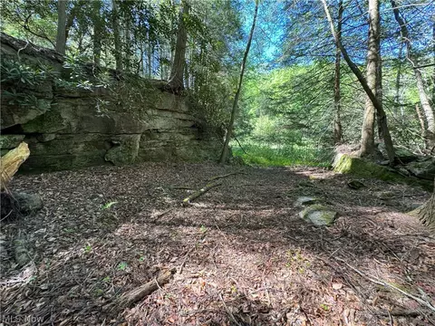 1185 Bens Run Rd, Sutton, WV 26601 photo 20