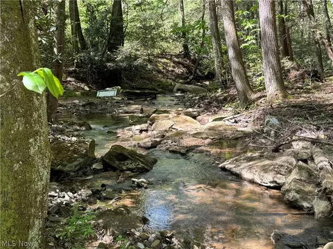 1185 Bens Run Rd, Sutton, WV 26601 photo 10