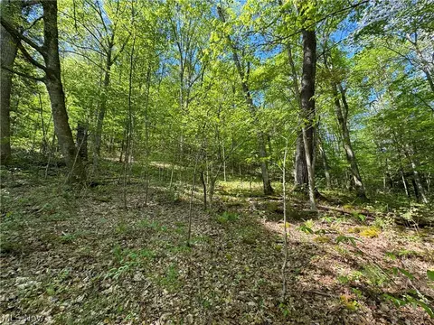 1185 Bens Run Rd, Sutton, WV 26601 photo 13