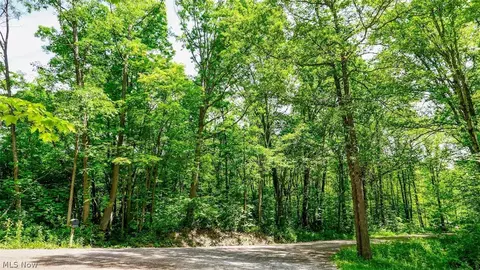 Housel Craft Road, Bristolville, OH 44402