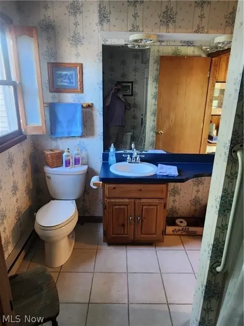 Bath - 313 Cornell Ave, Elyria, OH 44035 photo 1 of 3