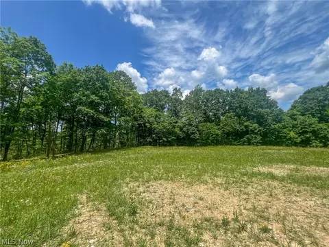 Sealover Hollow Rd, Philo, OH 43771