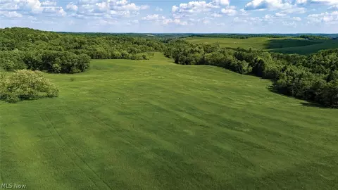 44622 Pine Hollow Rd, Rogers, OH 44455