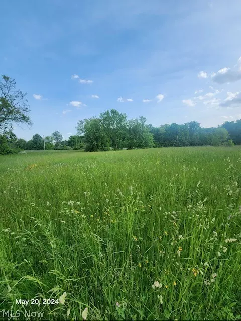 Tarragon Drive, Ashland, OH 44287