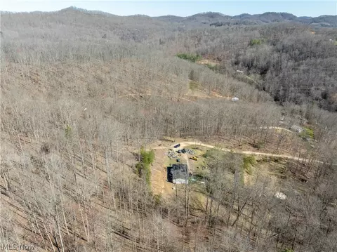 979 Reed Fork Rd, Procious, WV 25164